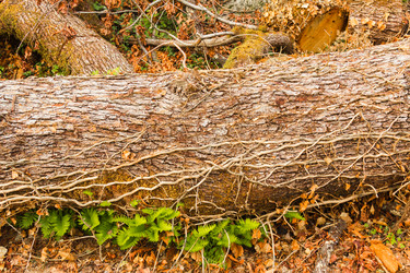 Similar image 10140450