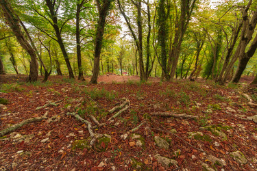 Similar image 10140470