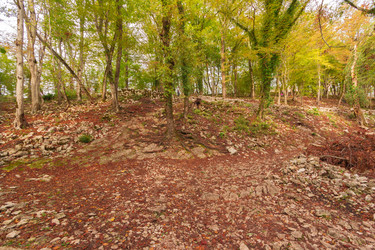 Similar image 10140472