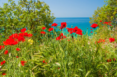 Similar image 10140714