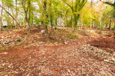 Similar image 10140764