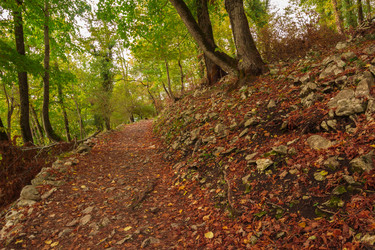 Similar image 10140766