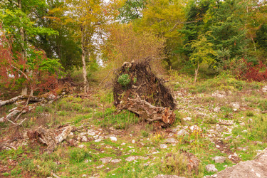 Similar image 10140768