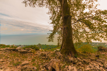 Similar image 10140772