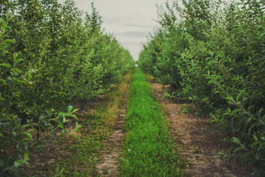 Similar image 10142318