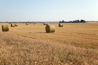 Similar image 10149739