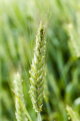 Similar image 10150002