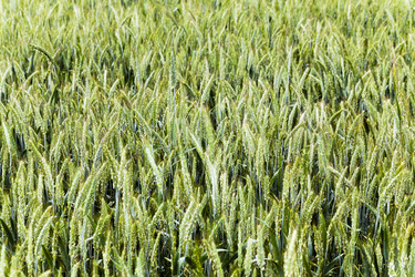 Similar image 10150006