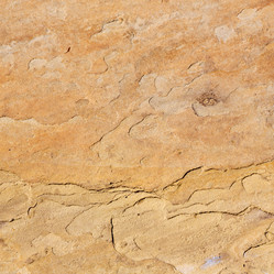 Similar image 10150176