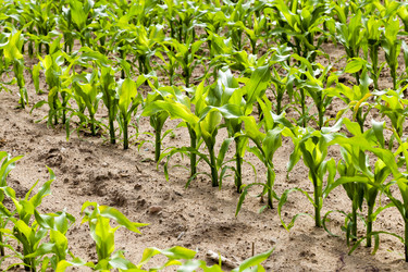 Similar image 10150445