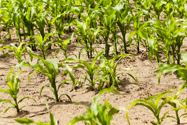 Similar image 10150447