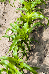 Similar image 10150451