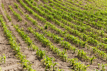 Similar image 10150455