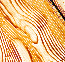 Similar image 10150589