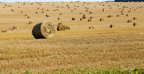 Similar image 10150842