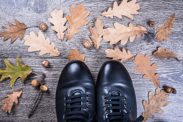 Similar image 10153234