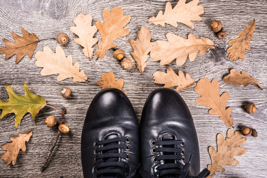 Similar image 10153236