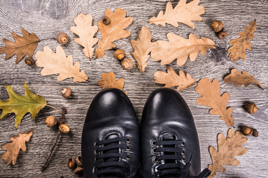 Similar image 10153239