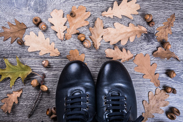 Similar image 10153241