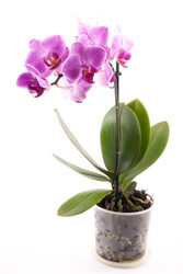 Similar image 10153538