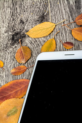 Similar image 10153677