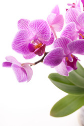 Similar image 10153689