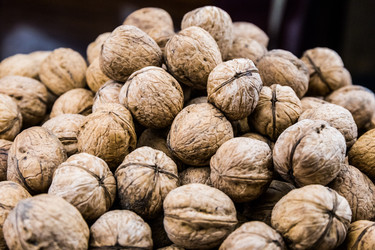 Similar image 10153696