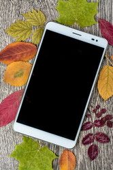 Similar image 10153713