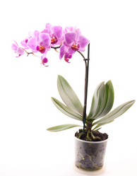 Similar image 10153719