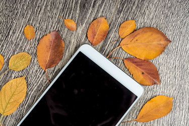 Similar image 10153827