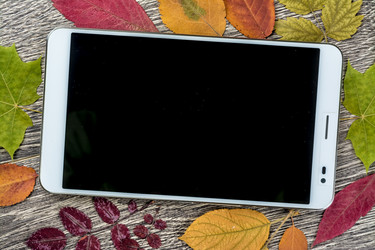 Similar image 10153828