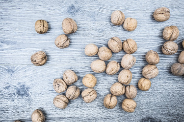 Similar image 10154258