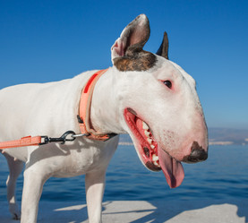 Similar image 10157698