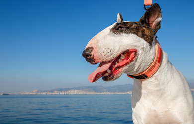 Similar image 10157701