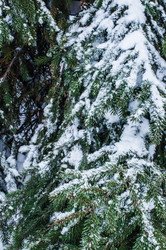 Similar image 10220562