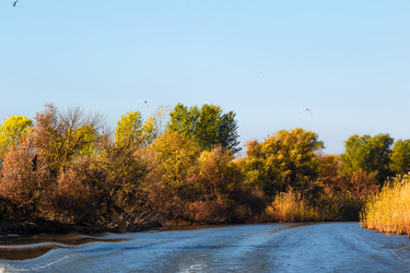 Similar image 10220965