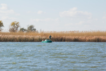 Similar image 10220977