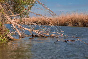 Similar image 10220981