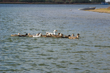 Similar image 10220993