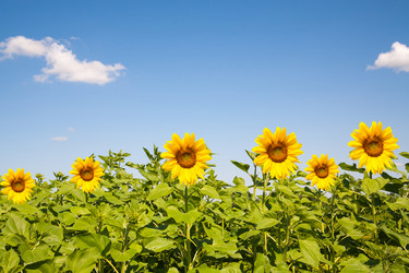 Similar image 10221882