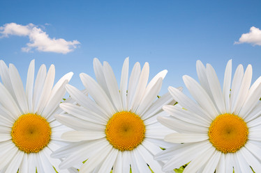 Similar image 10221887