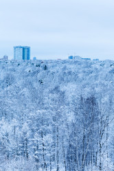 Similar image 10224116