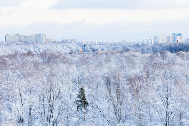 Similar image 10224135