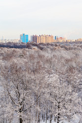 Similar image 10224198