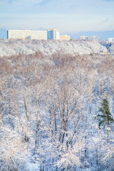 Similar image 10224204