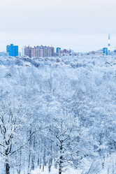 Similar image 10224296