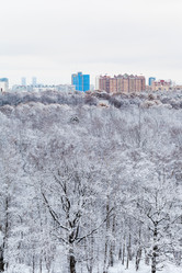 Similar image 10224308