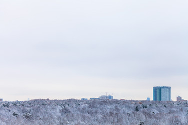 Similar image 10224310