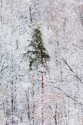 Similar image 10224312