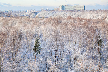 Similar image 10224321